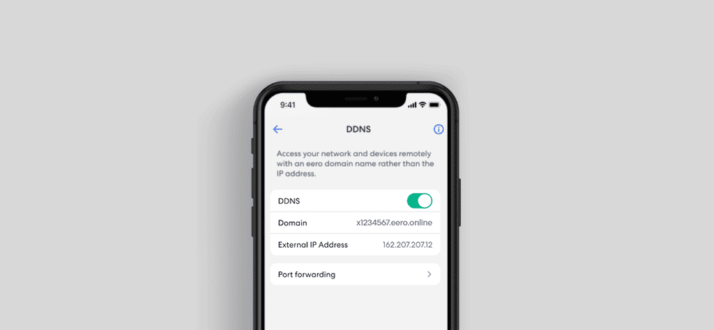 EERO Plus DDNS